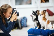 Fotograaf Hond & Kat